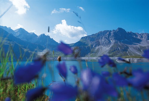 Appartement Scesaplana