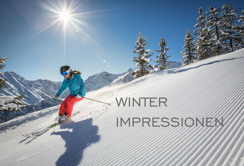 Appartement Alpenrose