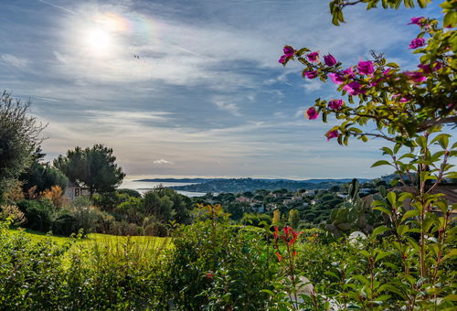 Apartment 1 bedroom Sainte-maxime