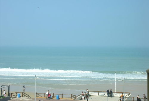 The mildness of the oceanic climate, the large area of its beaches inviting...