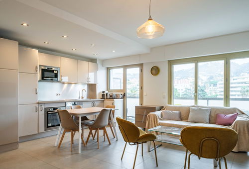 Nice bright one bedroom in the heart of Cannes