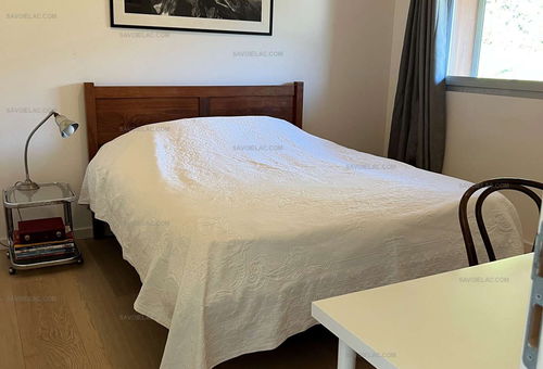 Location de Vacances – Villa de charme à Menthon-Saint-Bernard avec Vue...