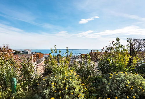 Apartment 1 bedroom Cannes
