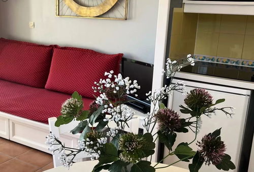 Apartment 1 bedroom Mallemort