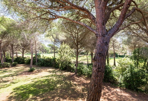 Apartment 1 bedroom Saint-raphaël