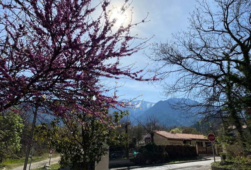 Apartment 2 bedroom Vernet-les-bains