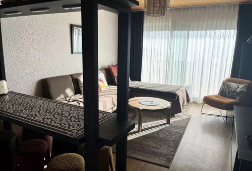 Apartment 1 bedroom Huez