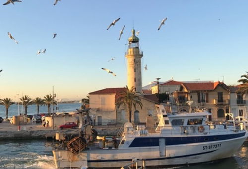 La Citadelle du Soleil : Appartement au Grau du Roi près de la plage 