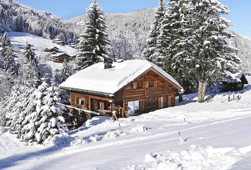 Chalet Grizzly - PREMIUM RANGE - 4 star chalet on the slopes in La...