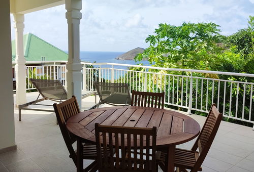 The Vina apartment is a cocoon nestled in nature, between the azure sea and...