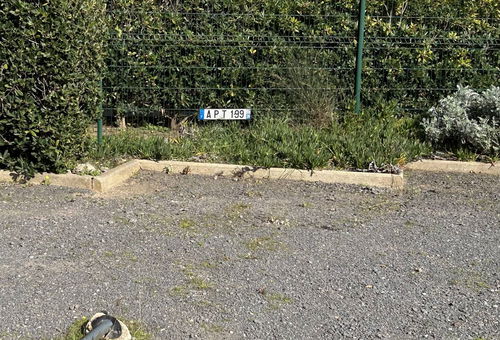 Cap d'Agde (34) - Quartier Roquille - Résidence Les Hauts de la...