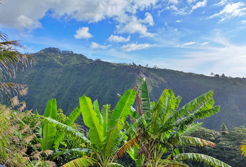 Moorea Horizon – Stunning Panoramic View – Pool