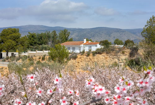 Villa 5 bedroom
