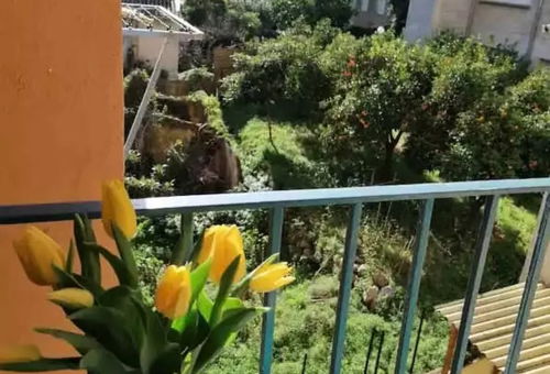 Apartment 2 bedroom Ajaccio