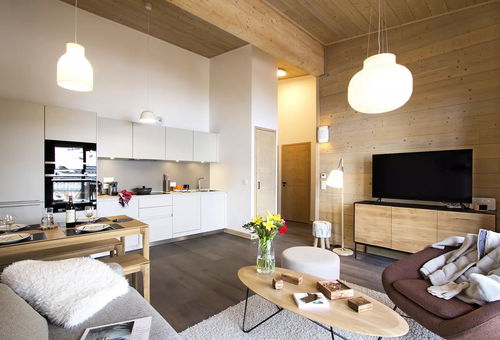 Apartment 1 bedroom Huez