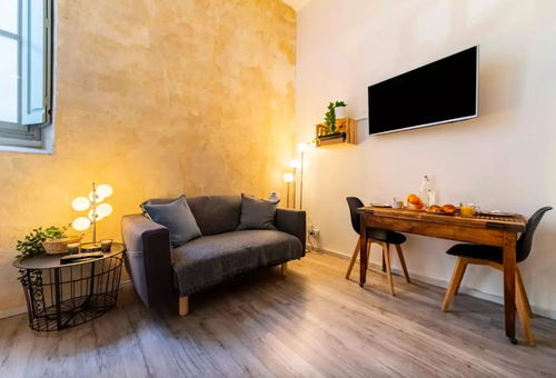 Apartment 1 bedroom Avignon