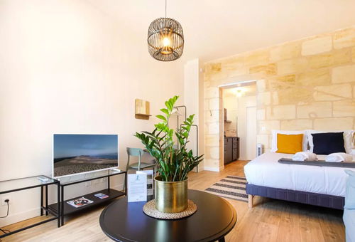 Apartment 1 bedroom Bordeaux
