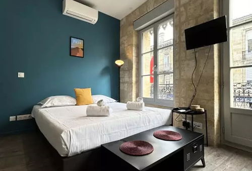 Apartment 1 bedroom Bordeaux