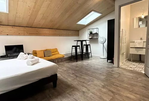 Apartment 1 bedroom Bordeaux