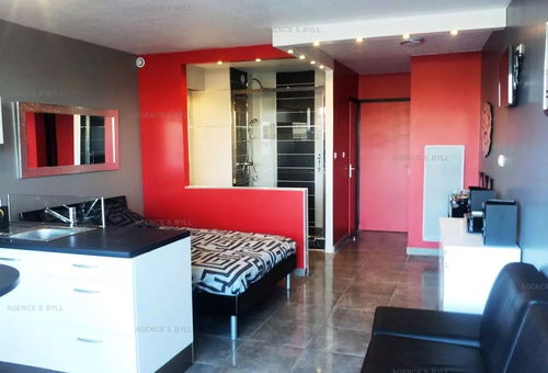 Apartment 1 bedroom Agde
