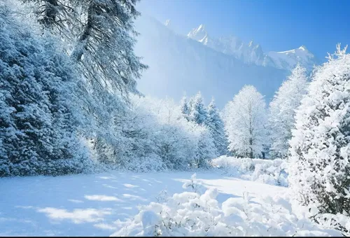 Chalet 4 bedroom Chamonix-mont-blanc