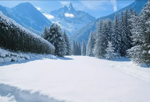 Chalet 3 bedroom Chamonix-mont-blanc