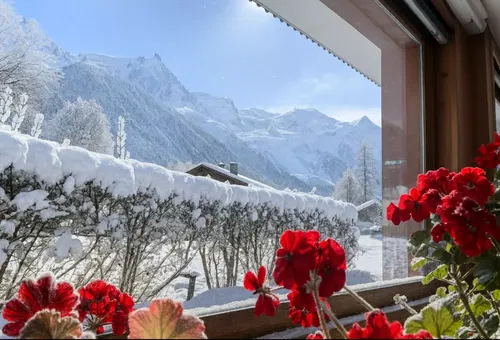 Apartment 1 bedroom Chamonix-mont-blanc
