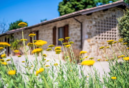 Villa 3 bedroom Pérouse