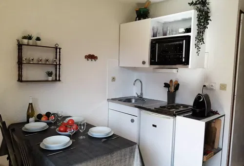 Apartment 1 bedroom Châtel