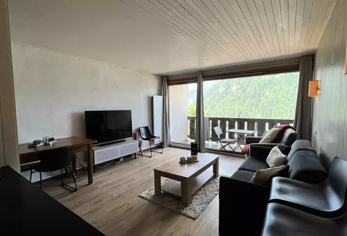 Apartment 1 bedroom Châtel