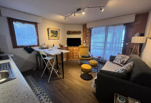 Apartment 1 bedroom Châtel