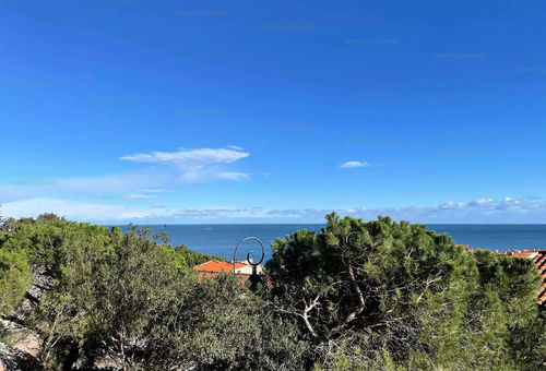 Apartment 1 bedroom Collioure