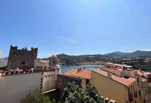 Apartment 1 bedroom Collioure
