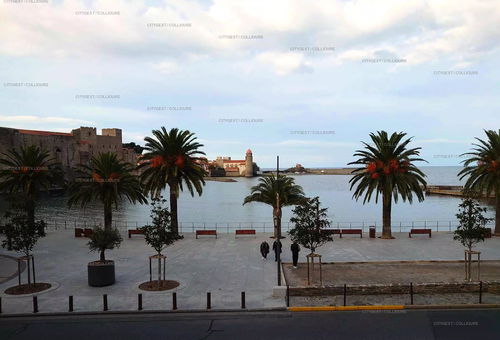 Apartment 1 bedroom Collioure