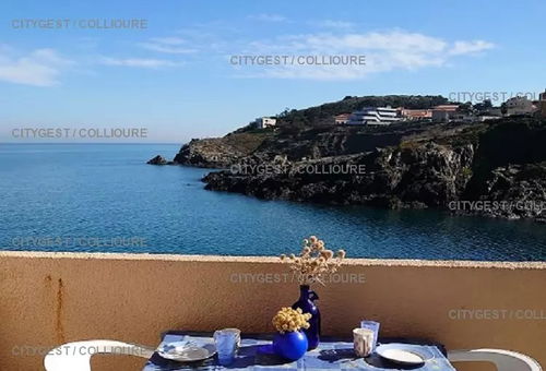 Apartment 1 bedroom Collioure