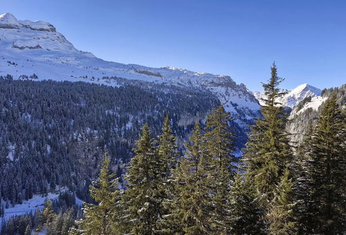 Apartment 1 bedroom Magland