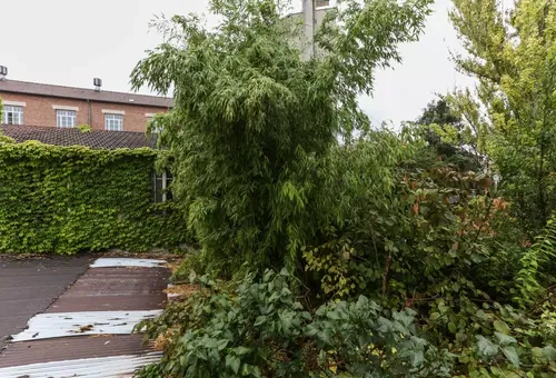 Apartment 1 bedroom Gentilly