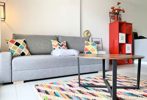 Apartment 1 bedroom Grenoble