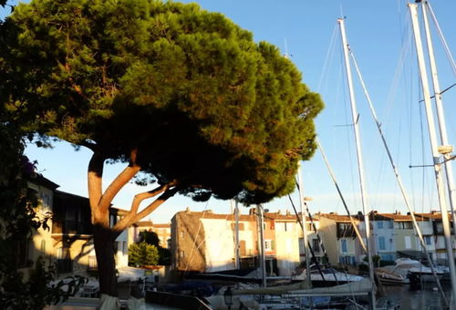 Apartment 3 bedroom Grimaud