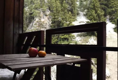 Appartement 1 chambre La Plagne Tarentaise
