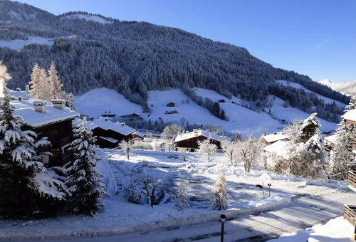 Apartment 1 bedroom Le Grand-bornand