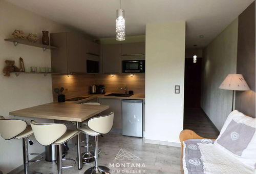 Appartement 1 chambre Le Grand-bornand