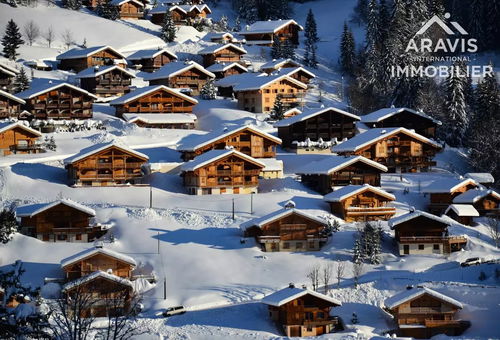 Apartment 1 bedroom Le Grand-bornand
