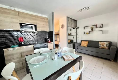 Apartment 1 bedroom Le Grau-du-roi