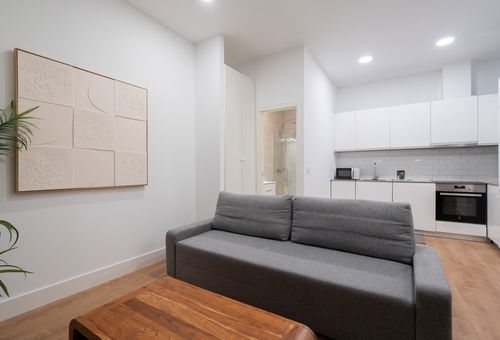 Apartment 1 bedroom Madrid