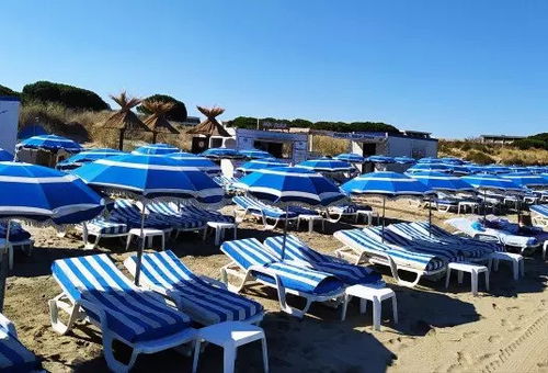 Wohnung 1 Zimmer Le Grau-du-roi