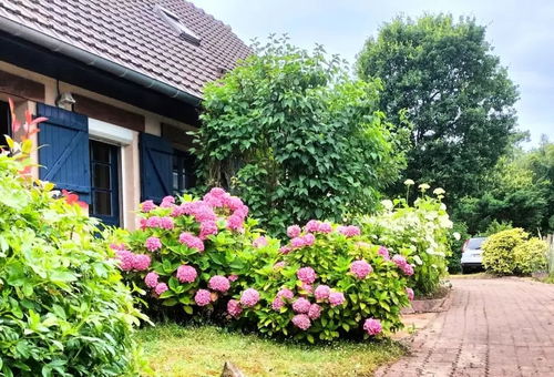 Maison 4 chambres Le Touquet-paris-plage