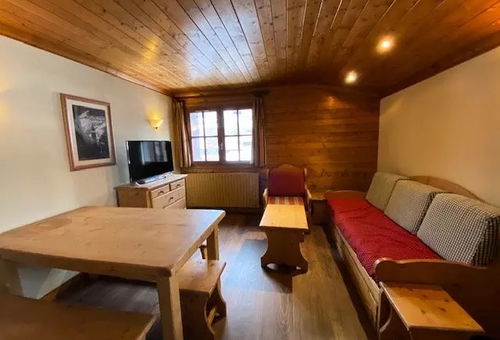 Apartment 2 bedroom Les Deux Alpes
