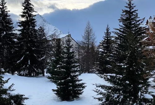 Appartement 1 chambre Les Deux Alpes