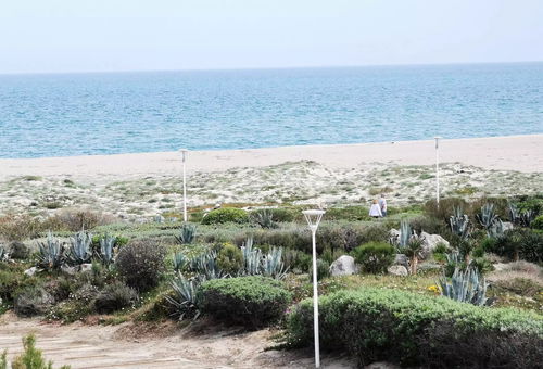 Apartment 1 bedroom Leucate